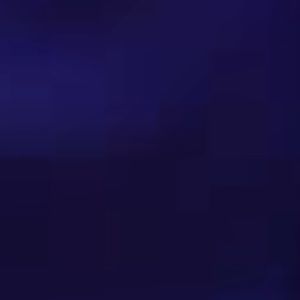 Meet your Posher, Laila